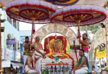 Surya, Chandra Vahana Sevas Draw Huge Crowds At Tirupati