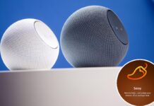 Amazon customers hate Alexa’s new, adults-only ‘Sassy’ voice that curses and roasts you: ‘Unplug’