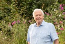 UK slashes climate aid programmes for developing countries