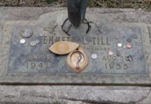 How a clump of moss helped convict grave robbers in Illinois