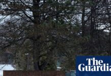 US Jewish communities warn increased security is needed after Michigan attack