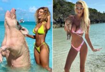 Celebs Pigging Out For National Pig Day