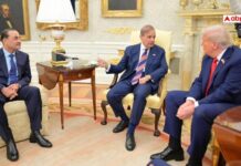 Pakistan To Mediate US-Iran Talks? Shehbaz Sharif Govt Expresses Readiness