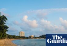 Shark culls brought in after fatal attack cause division and anger in New Caledonia