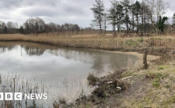 Oil giant forced to pay £6m after major spill