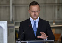 Senior EU official rebukes Zelensky over Orban threat