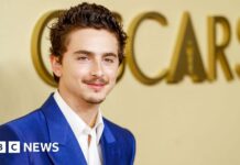 Has Hollywood golden boy Timothée Chalamet lost his shine?