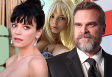 Woman Linked to David Harbour Asked to Leave Lily Allen Producer’s Party