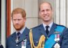 New hope for Harry over welcome back to Royal Family ‘as William is watching’