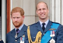 New hope for Harry over welcome back to Royal Family ‘as William is watching’