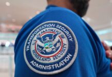 Top airline CEOs plead with Congress to restore DHS funding and pay airport workers. ‘Once again, air travel is the political football’