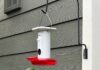It’s Peak Season for Birdwatchers to Spot Migratory Hummingbirds, and Our Favorite Feeder Is on Sale