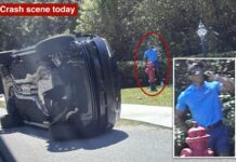 Tiger Woods spotted using cell phone on side of road after alleged Florida DUI crash