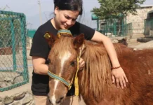 She Lost Her Beloved Pet — Now She’s Saving Thousands of Animals on Pilgrimage Routes From Cruelty