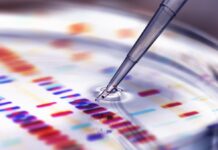 Why scientists can’t get a laugh