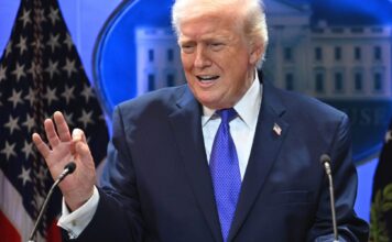 Fed survey reveals Trump’s tariff gut punch to the backbone of the U.S. economy: small business