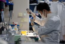 Japan Approves the World’s First Treatment Made With Reprogrammed Human Cells