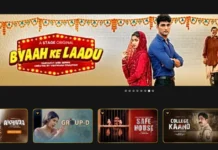 After Losing Our Rs 40 Crore Biz Overnight, We Created a ‘Netflix’ For Indian Dialects