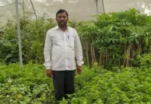 Former Auto Mechanic Grows 22 Mango Varieties on One Tree! Earns Rs 50 Lakh/Year