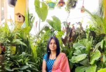 ‘It Heals Me’: How I Grow 300 Plants Including 70 Fruit Trees On My Terrace