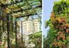 How This Surat Home With 800+ Plants Stays 10°C Cooler, Hosts 25+ Bird Species