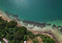 Sea levels higher than thought due to “methodological blind spot,” study says