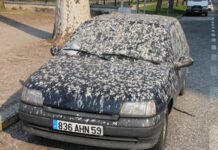 Everything’s Been Done! The Internet is Now Just Repetition and Spam