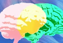 Grammarly’s ‘expert review’ is just missing the actual experts