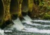 Water company to pay £45m after ‘unacceptable’ sewage breaches