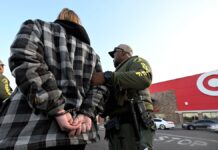 Minnesota Dem suggests studying ‘benefit of shoplifting’ in committee clash, then says it was sarcasm