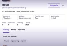 Mastodon is making its decentralized social network easier to use with its latest revamp