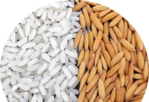 How This Protein-Rich Rice Variety From Odisha Is Fighting India’s ‘Hidden Hunger’