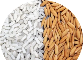 How This Protein-Rich Rice Variety From Odisha Is Fighting India’s ‘Hidden Hunger’