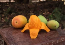 Why Is Alphonso Called Alphonso? Fascinating Stories of India’s Top 5 Mangoes