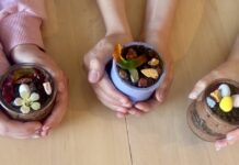 Chocolate Mousse Dirt Cups