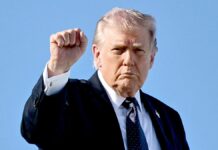 Trump reveals top issues GOP should focus on to secure midterms victory: ‘I’ve never been more confident’