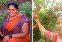 This Women’s Day, Help a Woman Farmer in Maharashtra Get a Solar Dehydrator & Start Her Business