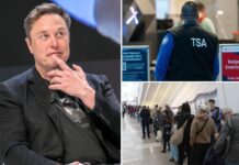 Elon Musk’s bold move that could upend TSA workers’ pay standoff amid DHS shutdown