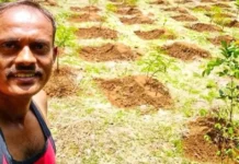 Ex-Army Man’s Family Dug 70 Trenches, Planted 450+ Trees & Revived 8 Lakh Litres of Water in Junnar