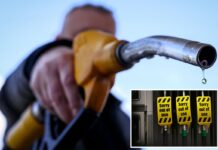 IEA to recommend release of record 400M oil barrels to curb soaring prices due to Iran war: report