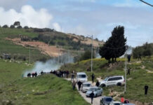 Palestinians flee tear gas as Israeli settlers arrive in occupied West Bank