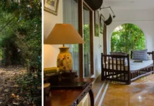 Father-Son Duo Turns Barren Land in Corbett Into a Forest Retreat Full of Wildlife