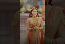 Rashmika Mandanna Inspired? Discover India’s Diverse Bridal Traditions | Wedding Dress