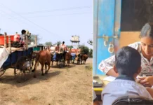 For Nomadic Bharwad Families, A Flexible School Ensures Migration Doesn’t End Children’s Education