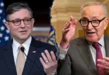 Johnson turns up heat on Schumer as DHS shutdown drags on, airport delays mount