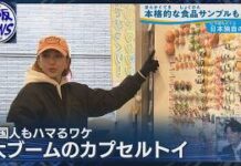 Tourists in Japan Flock to Capsule Toys and Food Replicas