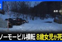 Australian Girl, 8, Dies After Snowmobile Overturns in Hakuba