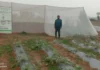 With a Simple Net House, This Jharkhand Woman Farmer Grows Coriander Off-Season, Earns Rs 70000/Yr