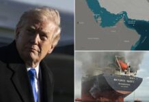 Iran says ‘non-hostile’ ships can pass through Strait of Hormuz — as Trump teases major ‘prize’