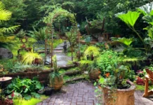 How to Prepare Your Garden for Summer Before the Heat Sets In